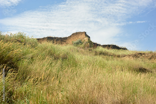 Wallpaper Mural Grass and sky, the coastal area. Vegetation over the cliff. Torontodigital.ca