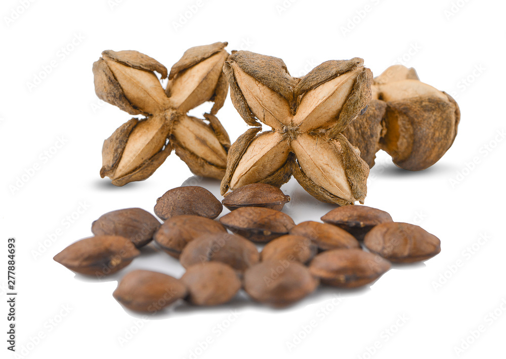 Sacha inchi peanut seed isolate on white background Sacha inchi peanut seed isolate on white background