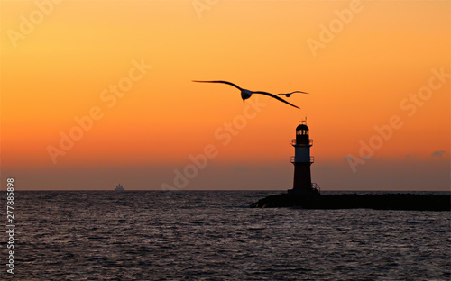 Sunset sunrise beach lighthouse birds sun summer
