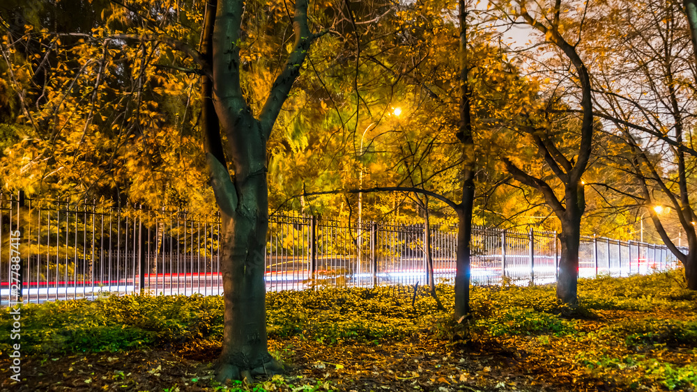 movement of cars along the fence of the Park, movement of cars along the fence of the Park,