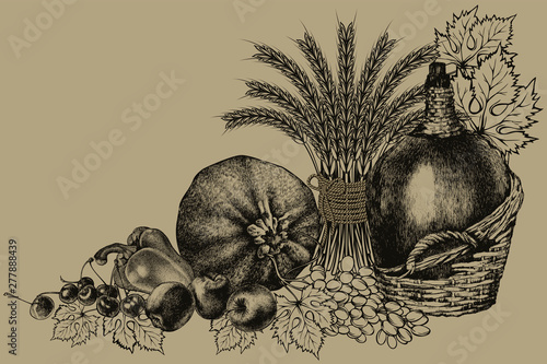 Wallpaper Mural Bio food. Harvest, fresh farm vegetables, fruits and ears of wheat. Bottle of wine and grapes. Vector Torontodigital.ca