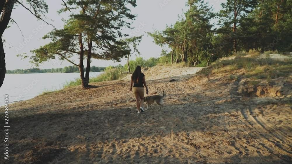 happy young woman walking with her mixbreed dog in the pine forest near large river. happy young woman walking with her mixbreed dog in the pine forest near large river.