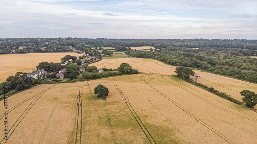 Fototapeta premium An aerial view of a scenic rural village in the middle of a crop field under a majestic blue sky and white clouds