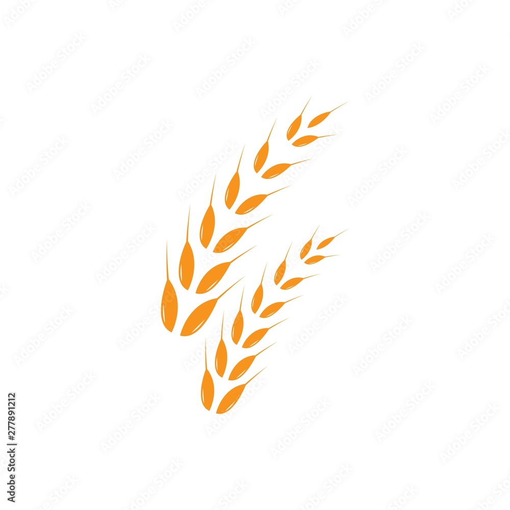 Agriculture wheat Logo Template vector icon design Agriculture wheat Logo Template vector icon design