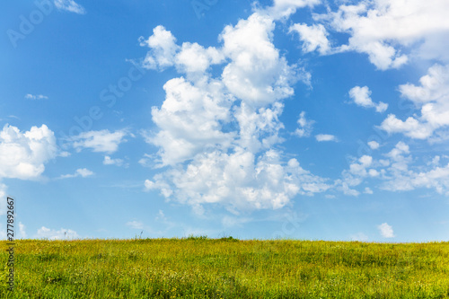summer landscape  field with flowers and sky with clouds