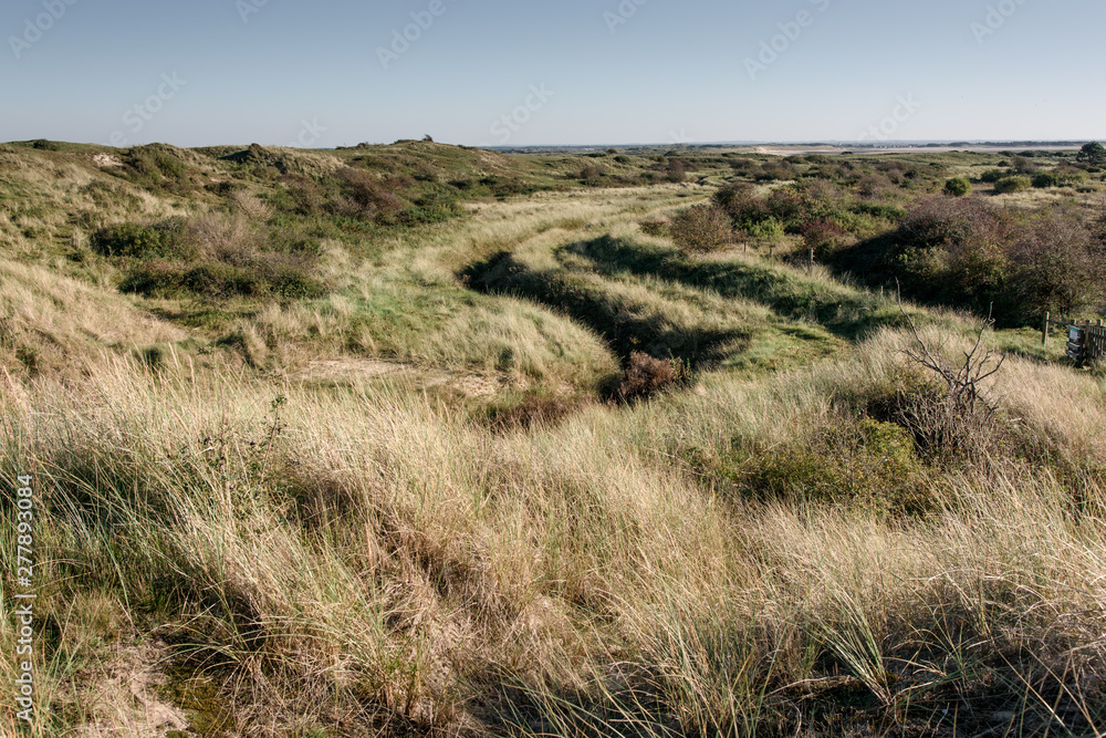 paysage dunes cotentin