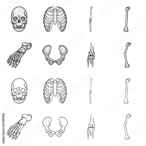 Isolated object of medicine and clinic symbol. Set of medicine and medical stock symbol for web.