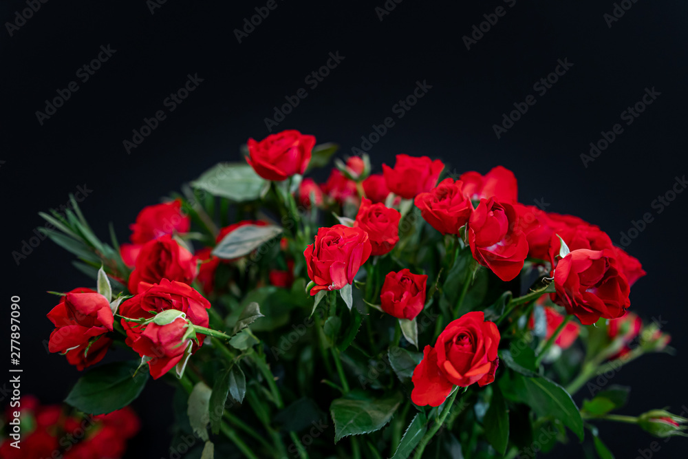 Beautiful Red roses flowers bouquet on dark background.