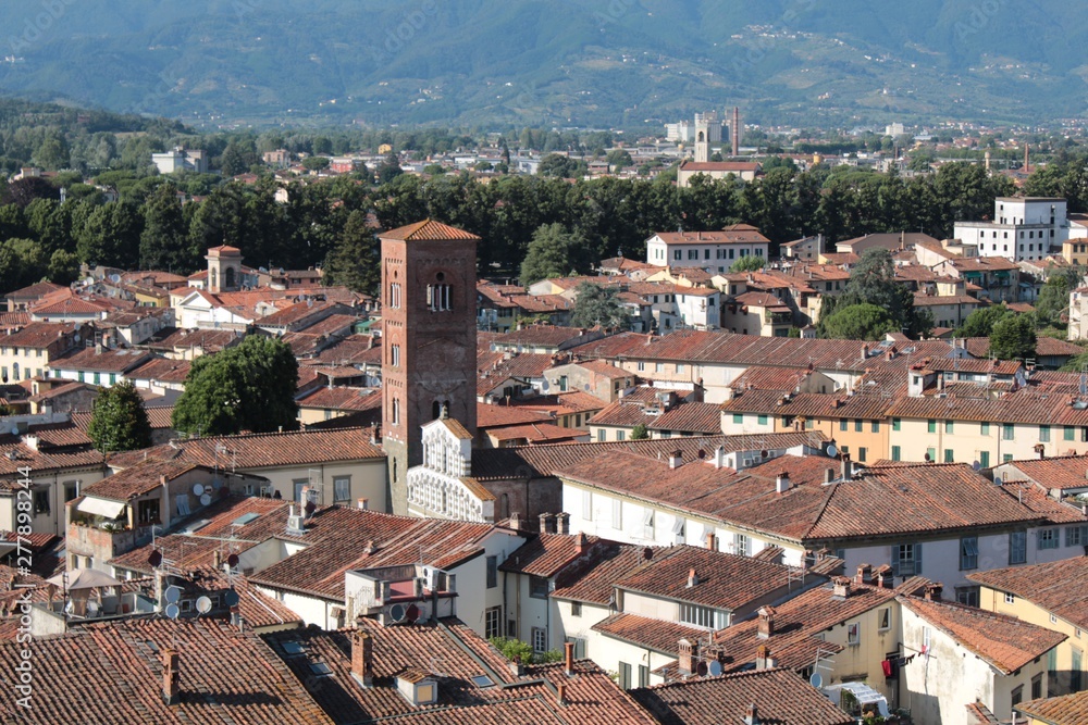 Townscape from Torre Guinigi, Lucca