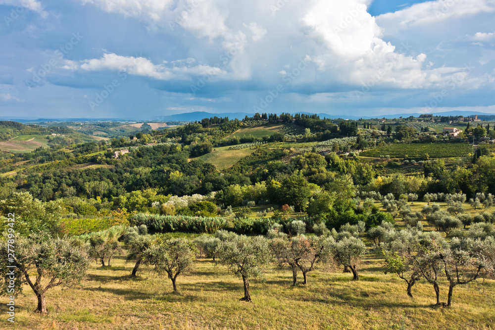 Panoramic view on a hills, vineyards, olive and cypress trees, Tuscany landscape around San Gimignano, Italy