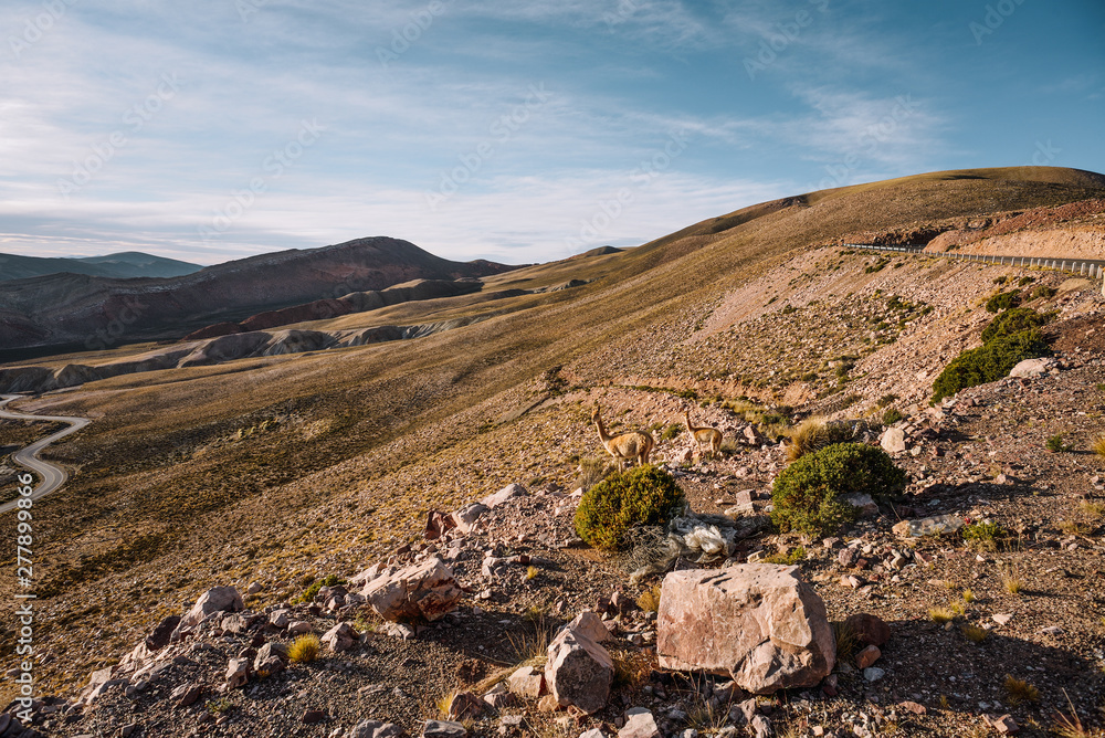 Obraz premium Cinematic road landscape. Humahuaca valley, Altiplano, Argentina. Misty road
