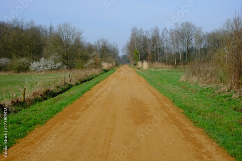 Countryside rural pathway leading toward green forest