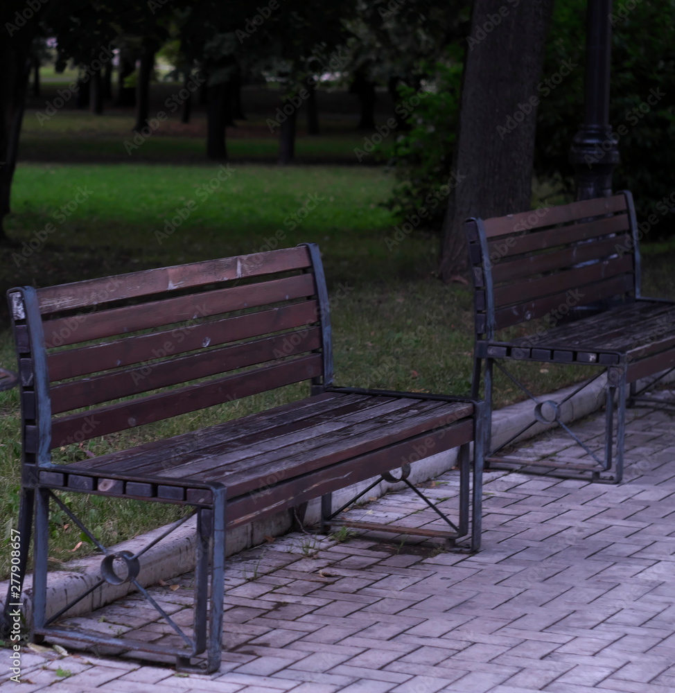 bench in the park