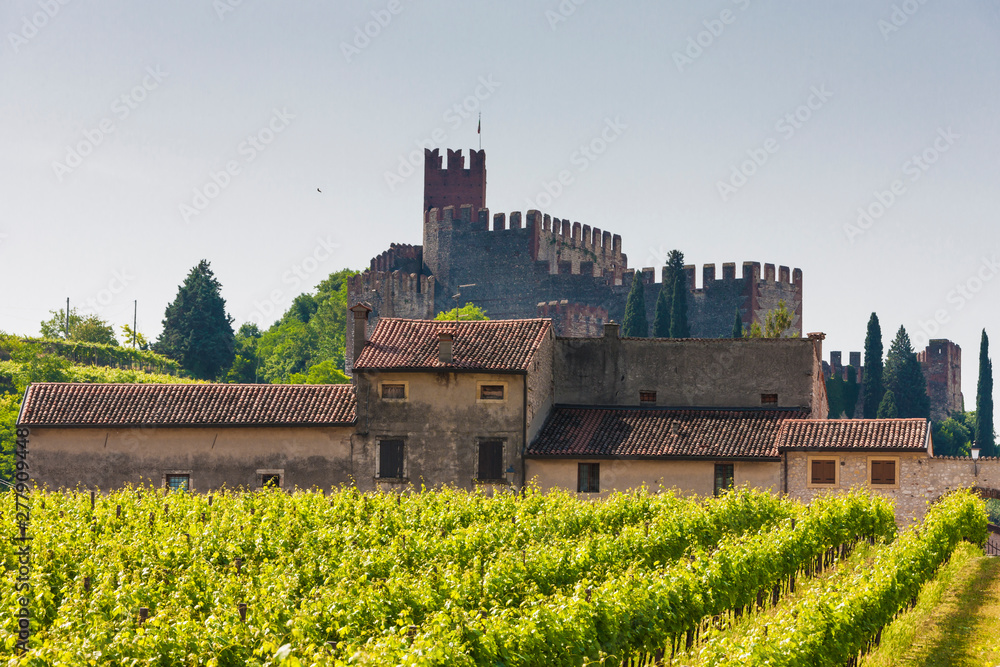 The town of Soave
