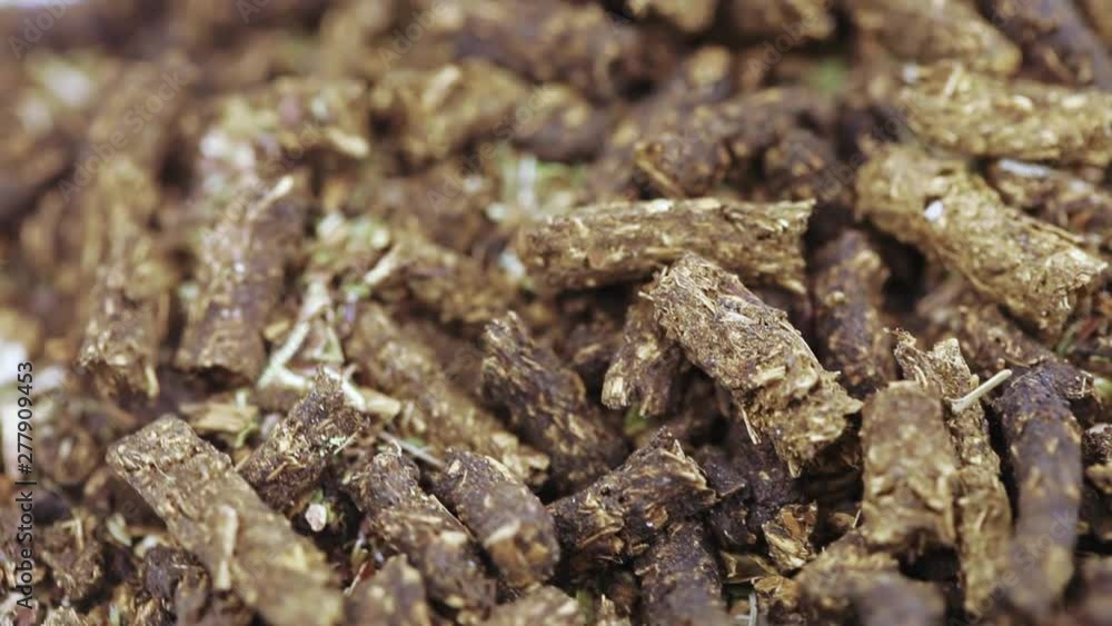 Ivan-tea is fermented Ivan-tea is fermented