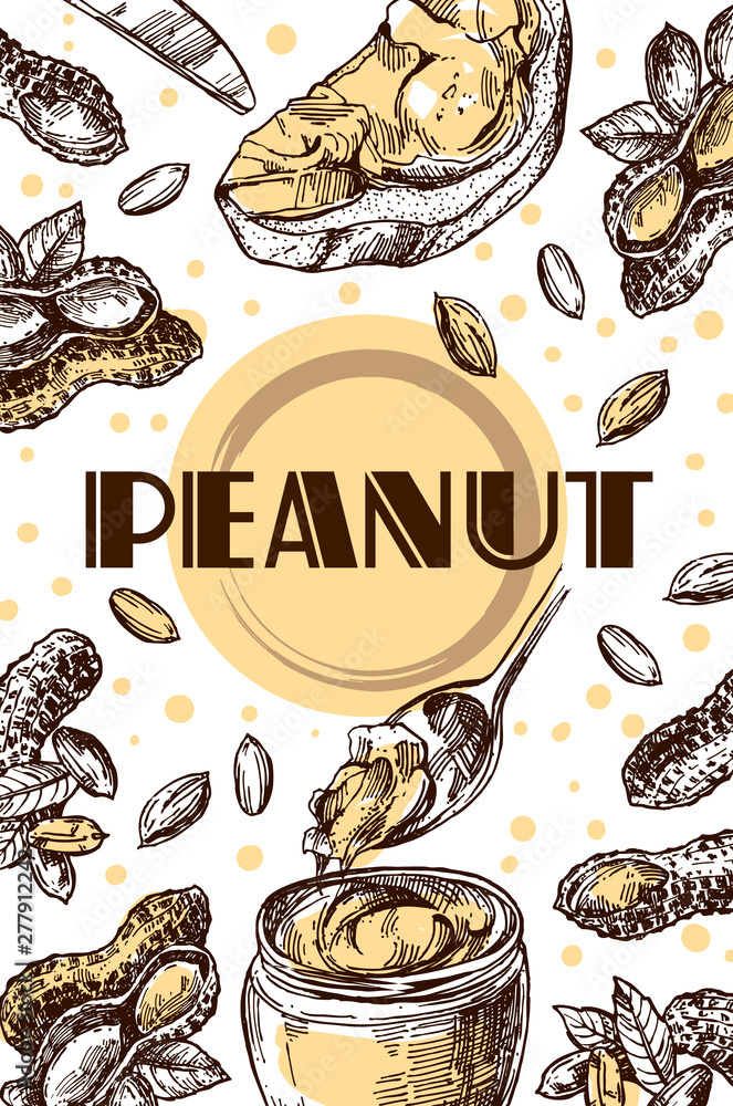 Peanut sketch illustration. Hand drawn beautiful set of groundnut.