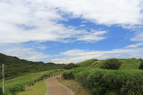 南伊豆 ユウスゲ公園