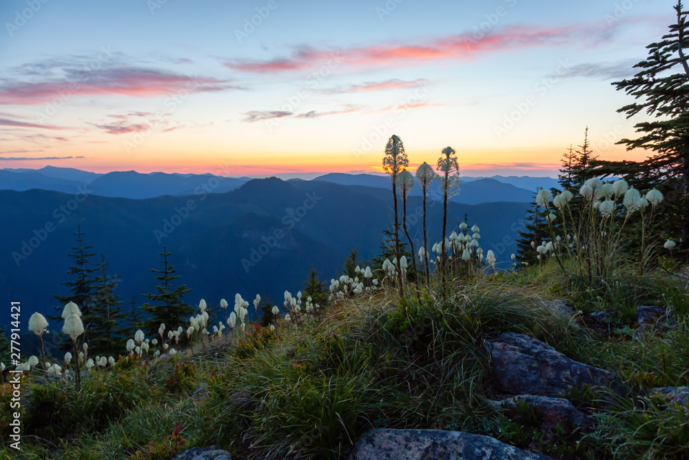 Beautiful View of American Mountain Landscape during a vibrant and colorful summer sunset. Taken from Sun Top Lookout, in Mt Rainier National Park, South of Seattle, Washington, USA. Beautiful View of American Mountain Landscape during a vibrant and colorful summer sunset. Taken from Sun Top Lookout, in Mt Rainier National Park, South of Seattle, Washington, USA.