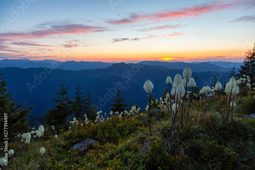 Beautiful View of American Mountain Landscape during a vibrant and colorful summer sunset. Taken from Sun Top Lookout, in Mt Rainier National Park, South of Seattle, Washington, USA.