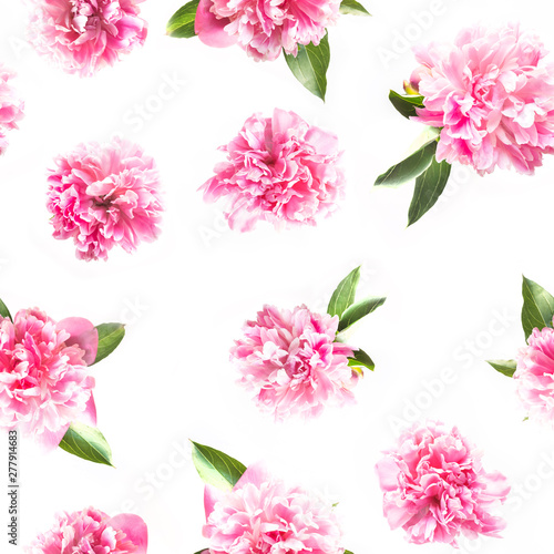 Creative seamless pattern of pink peony flower on white. Minimal flat lay. Top view.