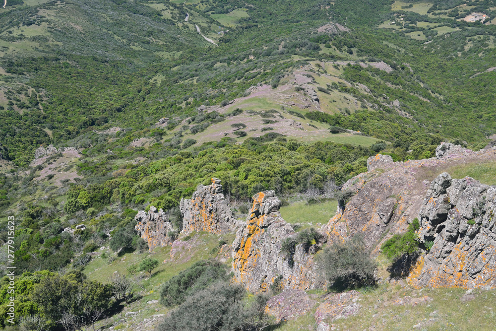 Fototapeta premium Vista del Monte Arcuentu