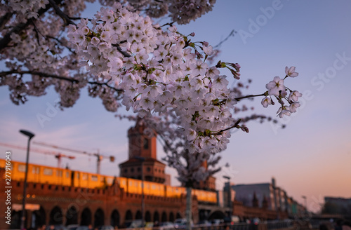 Frühling in Berlin photo