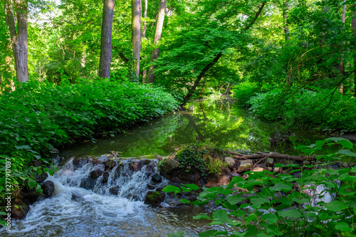 Beautiful park with vivid green foliage trees, bushes and a creek with a small waterfall photo