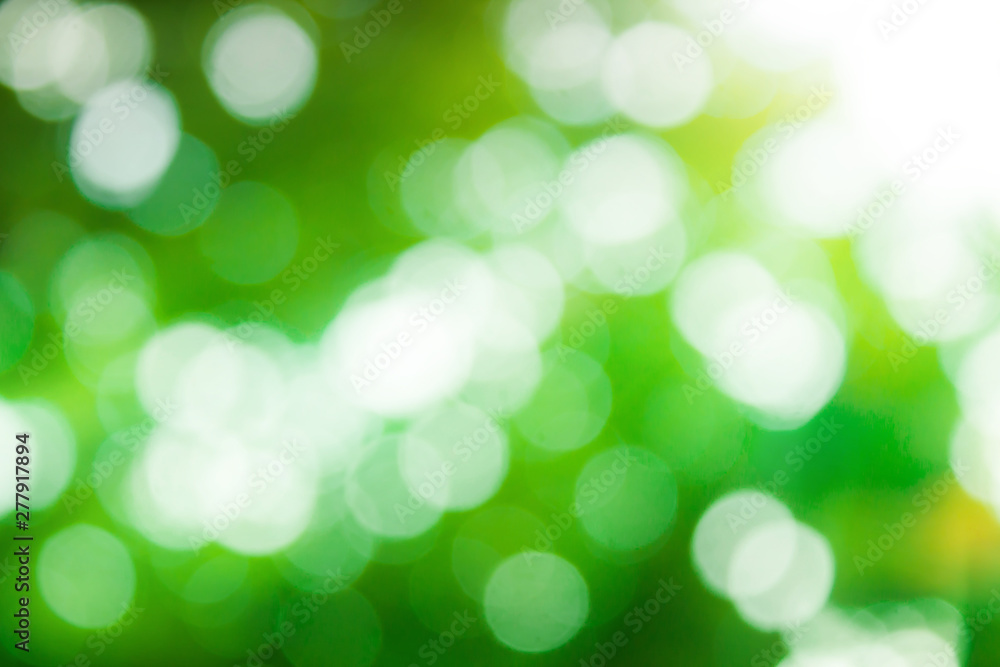 Abstract bokeh background from the tree in the garden Abstract bokeh background from the tree in the garden
