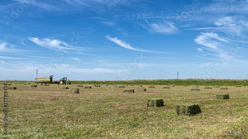 Tractor harvesting small green haystacks