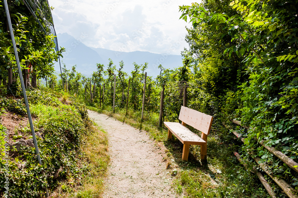 Algund, Waalweg, Wanderweg, Obstbäume, Obstplantage, Holzbank, Vinschgau, Südtirol, Sommer, Italien