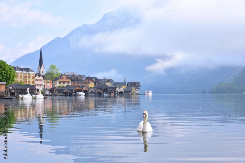 Hallstatt, Austria - May 2019. Amazing Hallstatt village on beautiful lake with swan and alps mountains on background. Austria landmark with historic cathedral and wooden houses on the lake. Unesco 