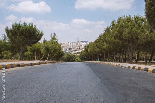 Cuadro en lienzo wonderful trees with cloudy sky in king Hussain gardens in Amman in Jordan - vie