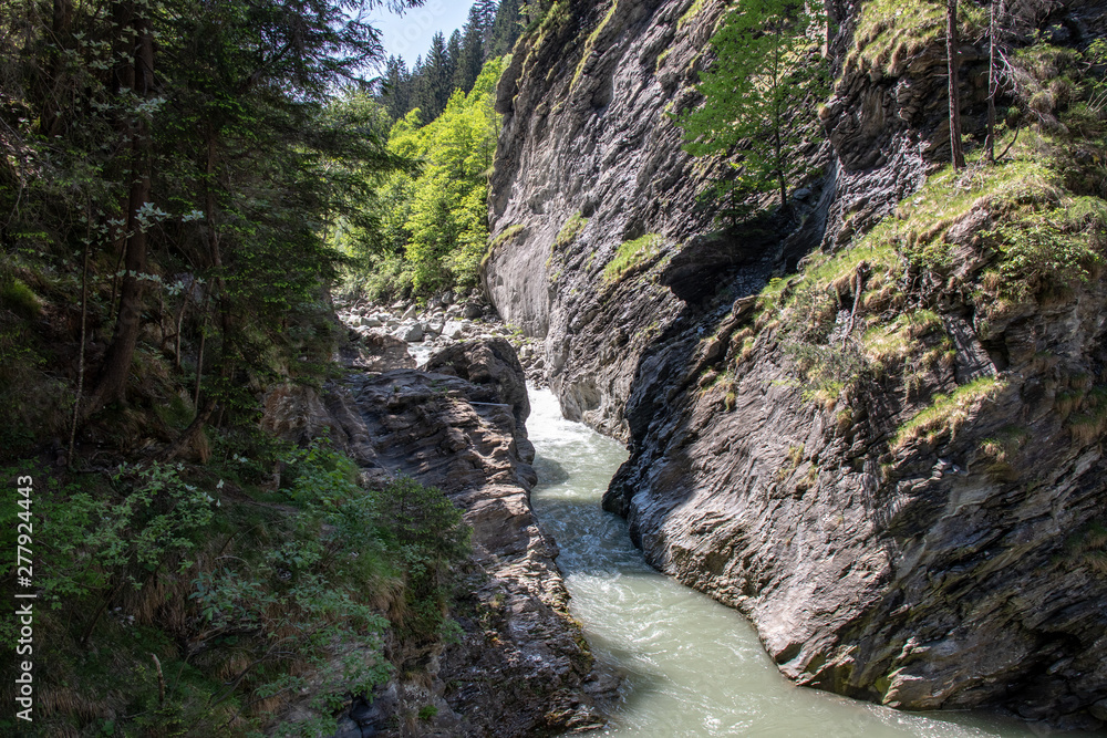 Obraz premium View of a wild river in a gorge in the Swiss Alps