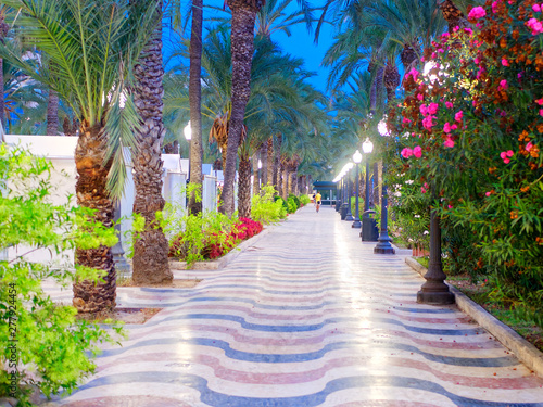Beautiful alley with palm trees - Explanada de Espana. Alicante. Spain