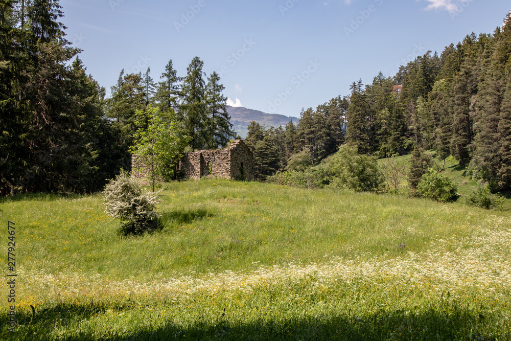 View of a meadow with dilapidated stone hut at blue sky in the swiss alps View of a meadow with dilapidated stone hut at blue sky in the swiss alps