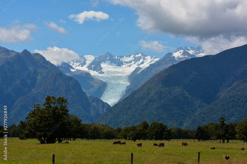 Glacier (New Zealand)