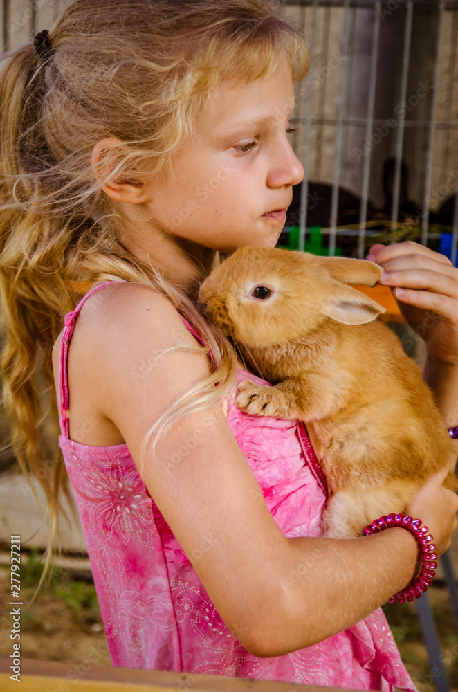 lovely child holding reddish rabbit pet