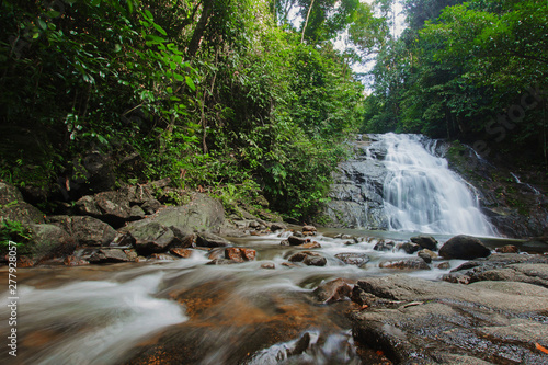 Ton Chong Fa,in the forest tropical zone ,national park Takua pa Phang Nga Thailand photo