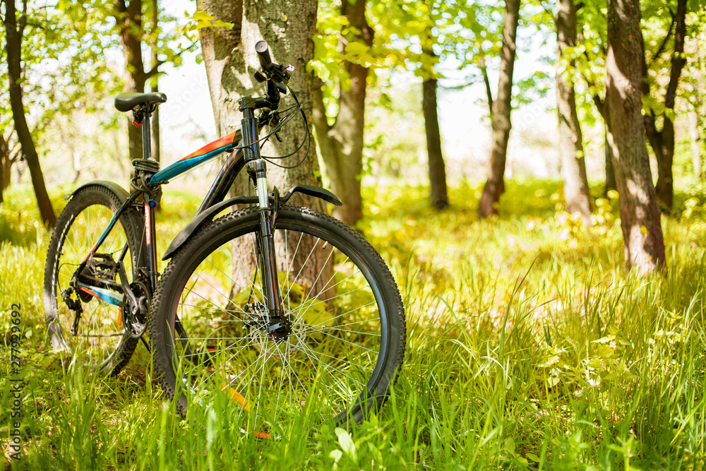Bike in the forest on the horizon. Hiking, riding, green background Bike in the forest on the horizon. Hiking, riding, green background