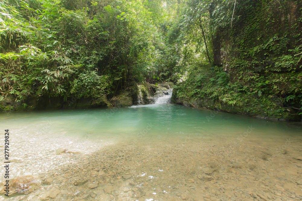 Ton Dang Fa,in the forest tropical zone ,national park Takua pa Phang Nga Thailand Ton Dang Fa,in the forest tropical zone ,national park Takua pa Phang Nga Thailand