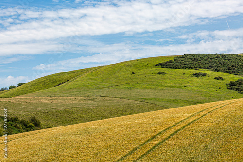 Rolling countryside in the South Downs in Sussex, on a sunny summers day