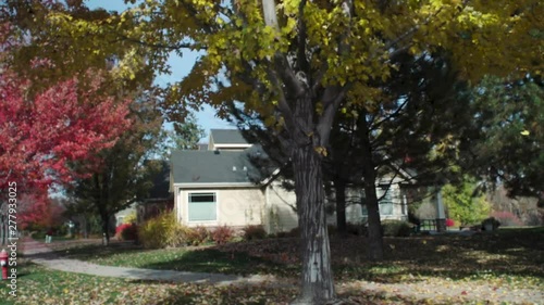 Autumn leaves falling on a suburban street