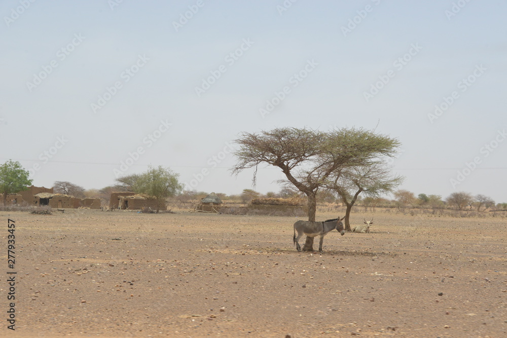 Fototapeta premium l'environnement en danger de servie