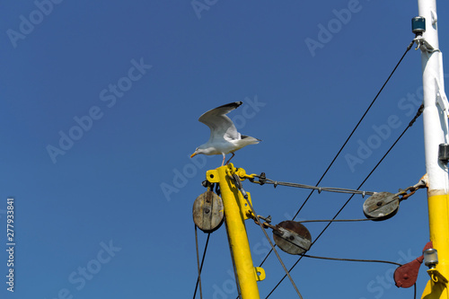 Schiffsmast von Krabbenkutter mit M  ve und blauer Himmel an einem sonnigen Tag - Stockfoto