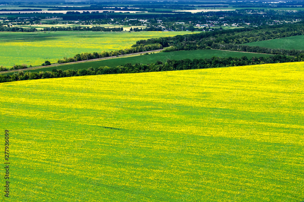 Aerial view to Fields of flowering sunflower. Ukraine. Aerial view to Fields of flowering sunflower. Ukraine.