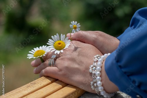 daisy in a woman's hand
