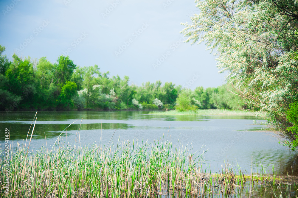 Summer landscape on the river bank Summer landscape on the river bank