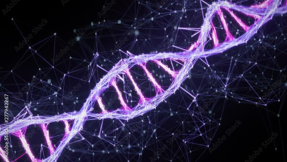 Abstract pink purple violet binary digital plexus DNA molecule structure for research visuals biology biotechnology chemistry science medicine cosmetics motion background medical dashboard Loop 4k