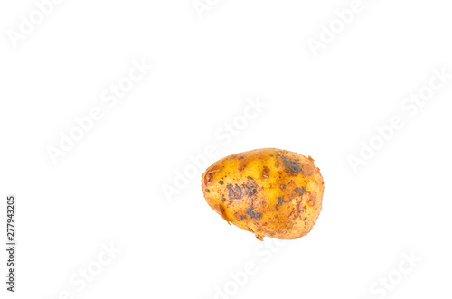 Fresh white potatoes isolated on white background. The view from the top. Organic food background.