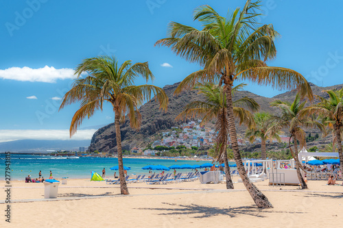 Tenerife, palm trees on the beach